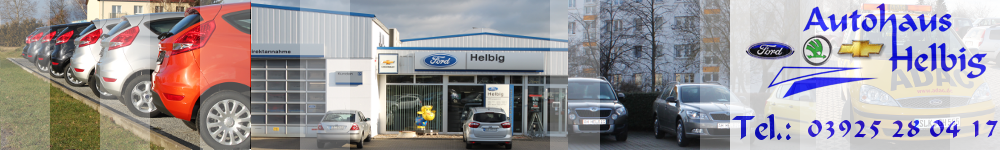 Autohaus Helbig Staßfurt - Banner -